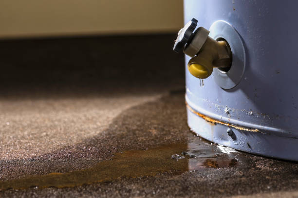 Best Flood restoration services  in Cementon, PA