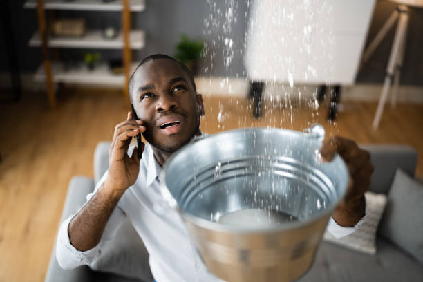 Best Sewage cleanup and water damage restoration  in Cementon, PA