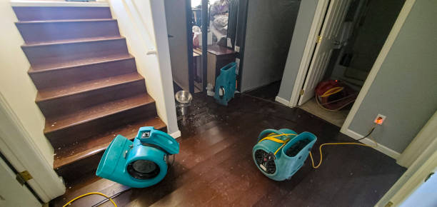 Best Basement water damage restoration  in Cementon, PA