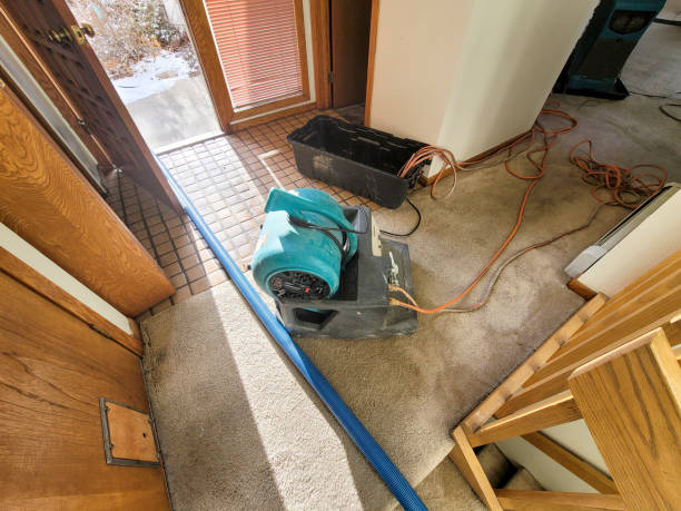 Best Water damage restoration insurance claims  in Cementon, PA