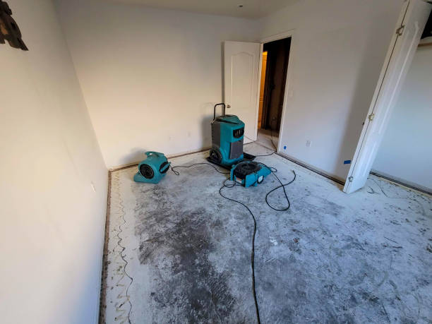 Best Water damage restoration specialists  in Cementon, PA