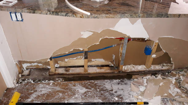 Best Water damage restoration near me  in Cementon, PA