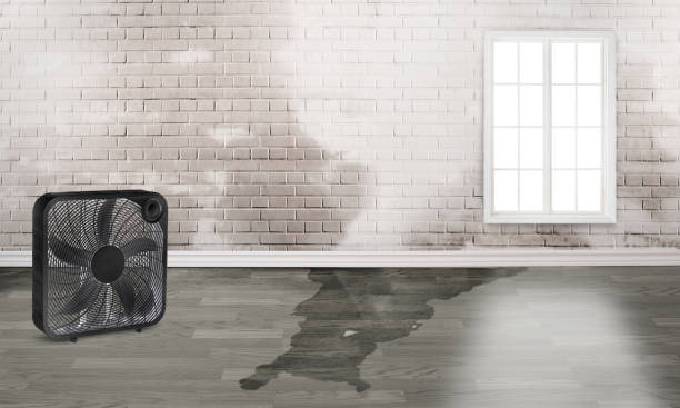 Best Flood damage cleanup  in Cementon, PA