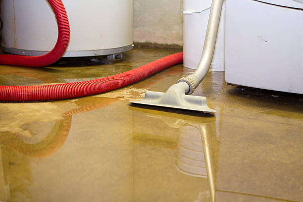 Best Commercial water damage restoration  in Cementon, PA