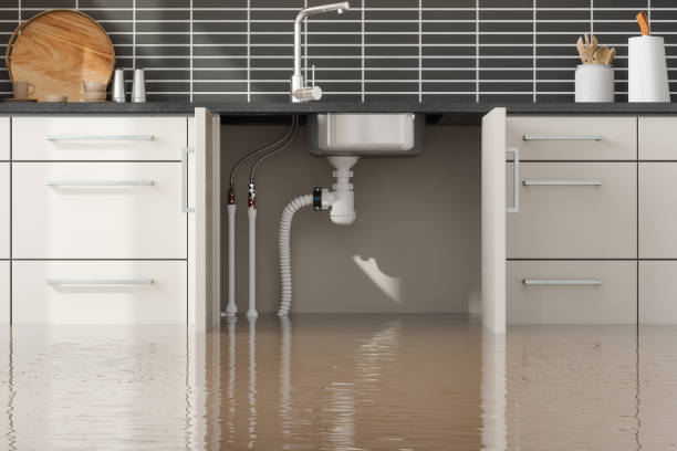 Reliable Cementon, PA Water damage restoration Solutions