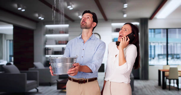 Best Ceiling water damage repair  in Cementon, PA