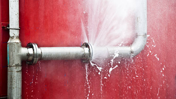 Best Water damage restoration process  in Cementon, PA